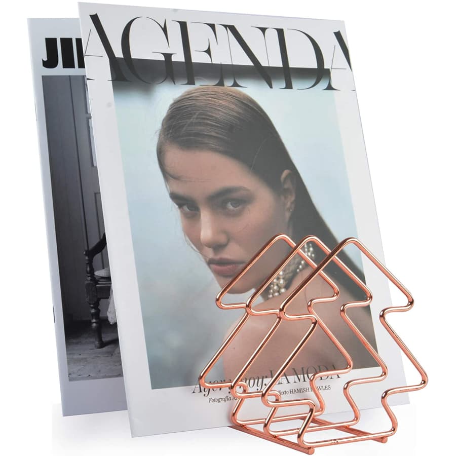 Bright-Life 5-Section Sorter Organizer for $11