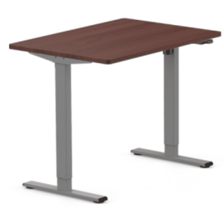 Flexispot Standard Standing Desk for $230
