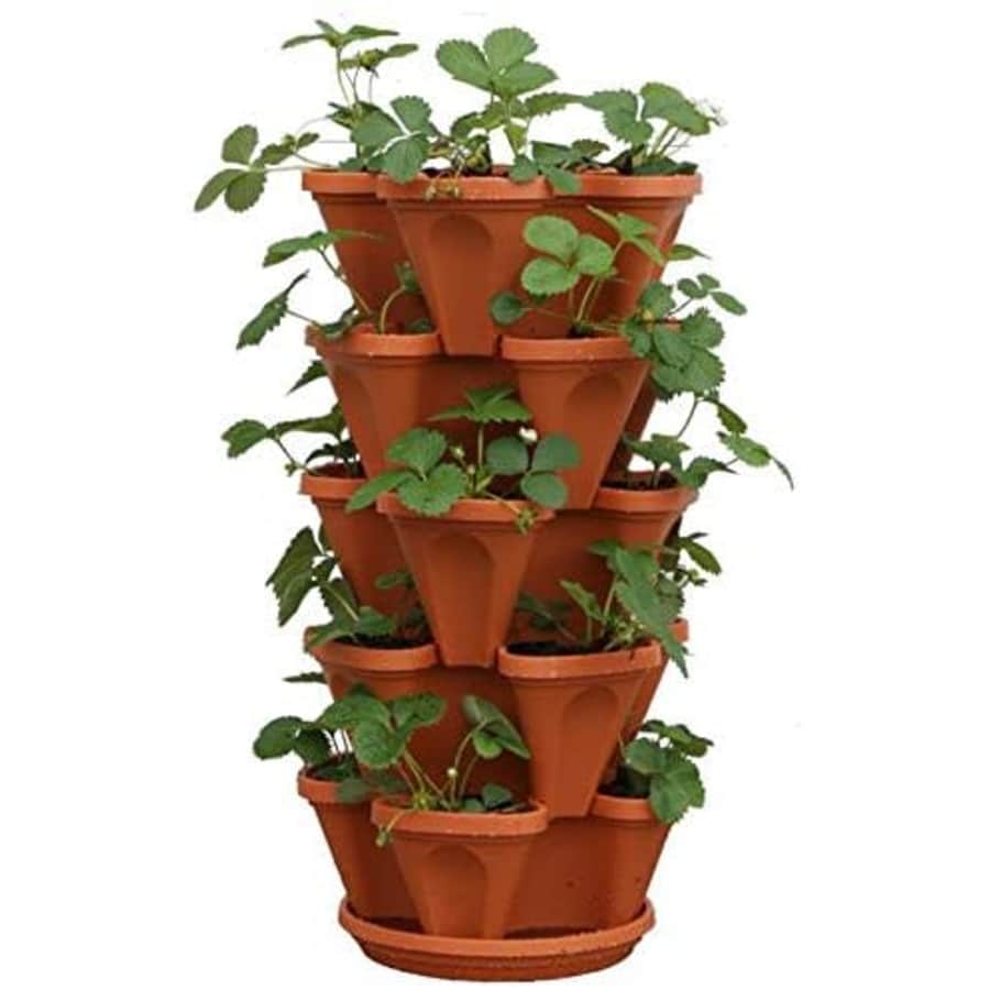 Mr. Stacky 5-Tier Strawberry Planter Pot for $29