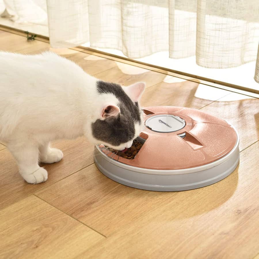 Amazon Basics Automatic Pet Feeder for $17