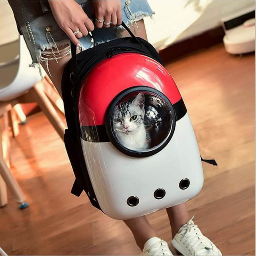 Tucker Murphy Pet Backpack Pet Carrier for $23