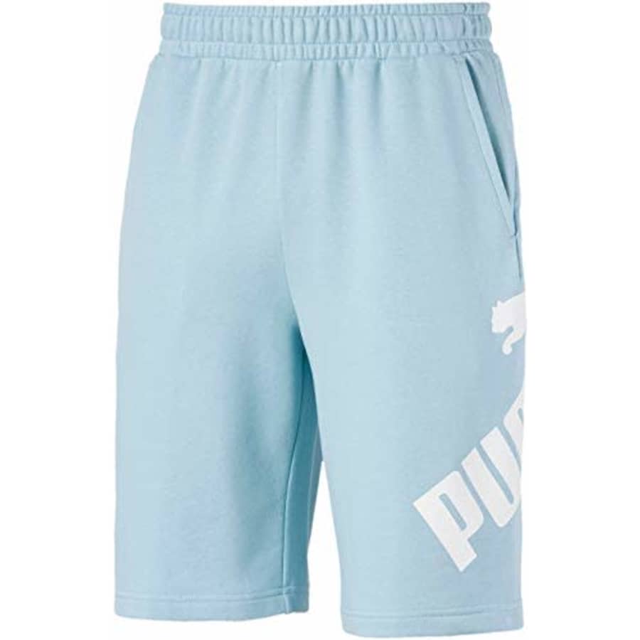 PUMA Men's Big Logo Shorts 10", Aquamarine, M for $24
