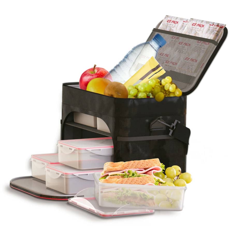 FitRx Insulated Lunch Bag w/ Containers & Ice Packs for $15