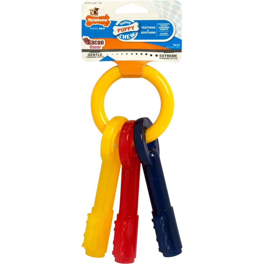 Nylabone Puppy Chew Keys for $4