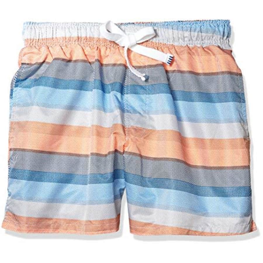 Evolve Men's Quick Dry Swim Short, Puffins Bill Stripe Print, Small for $11