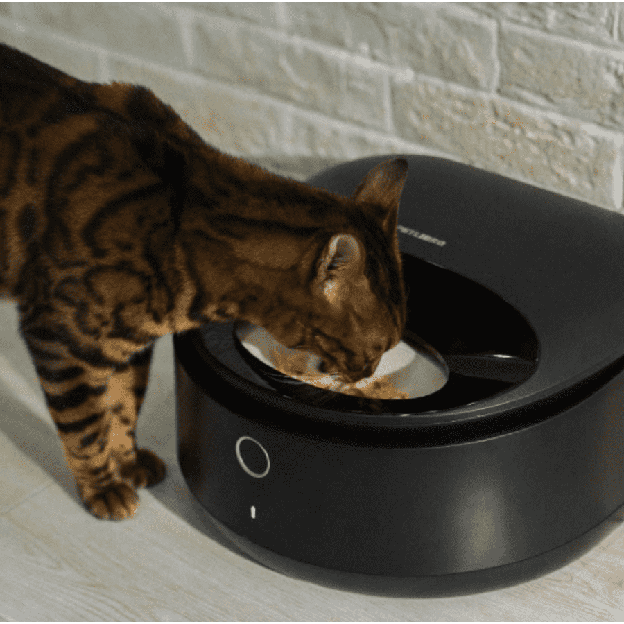Petlibro Polar Smart Wet Food Pet Feeder for $84 Petlibro Polar Smart Wet Food Pet Feeder for $84