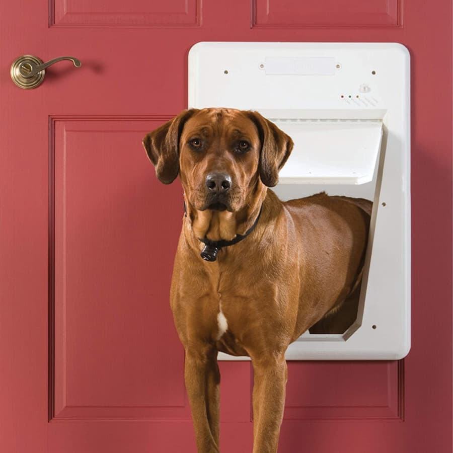 PetSafe Electronic SmartDoor for $175