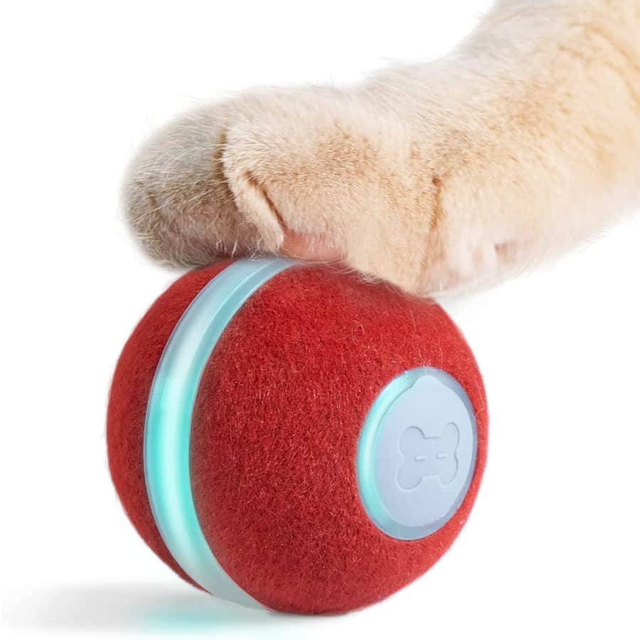 Cheerble Ball Interactive Cat Toy for $20