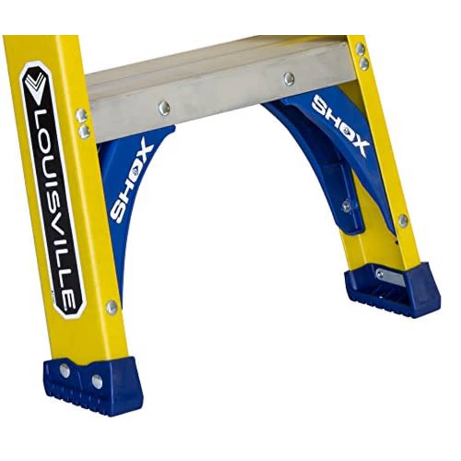 Louisville Ladder FS2006, 6-Feet/250lb for $220