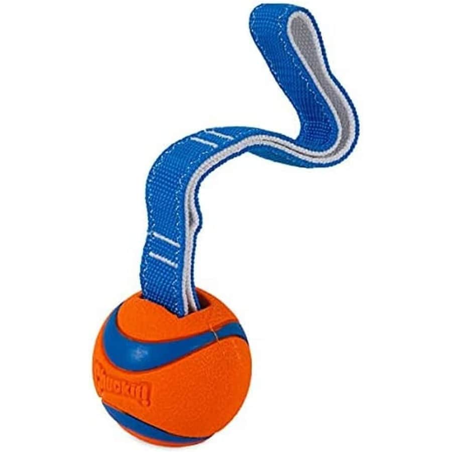 Chuckit! Ultra Tug Dog Toy for $4.80 via Sub & Save