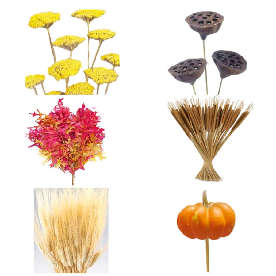 36-Bunch Fall Upgrade Accent Box for $130