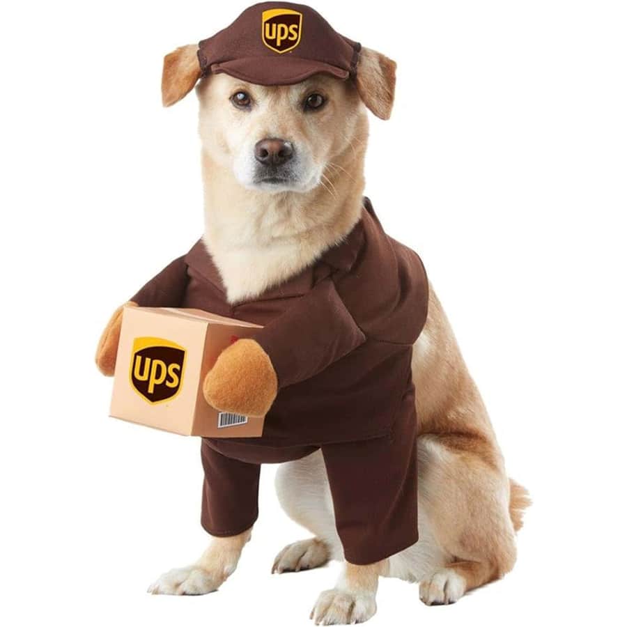 California Costumes UPS Dog Costume for $12