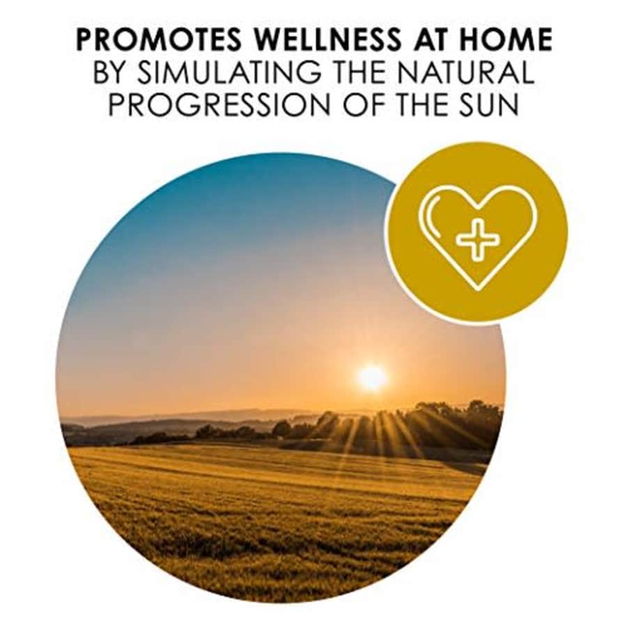 Adesso Smart Home Circadian LED Floorchiere Light with Smart Switch, Works with Alexa, A Certified for $130