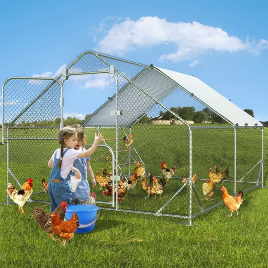 13-Foot Metal Chicken Coop for $179
