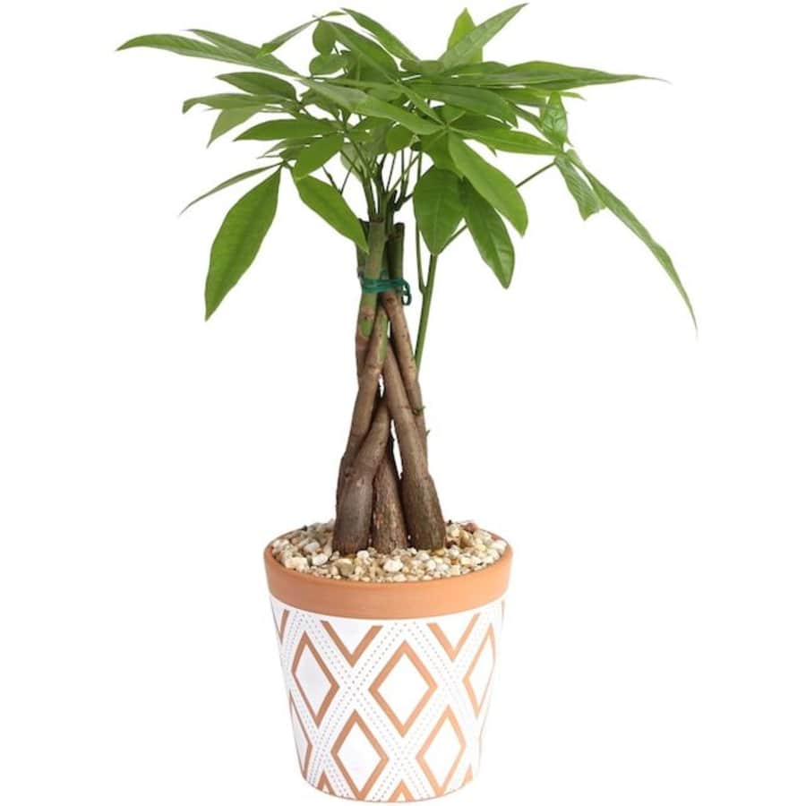 Lowe's Memorial Day Sale: Over 3,000 items under $25