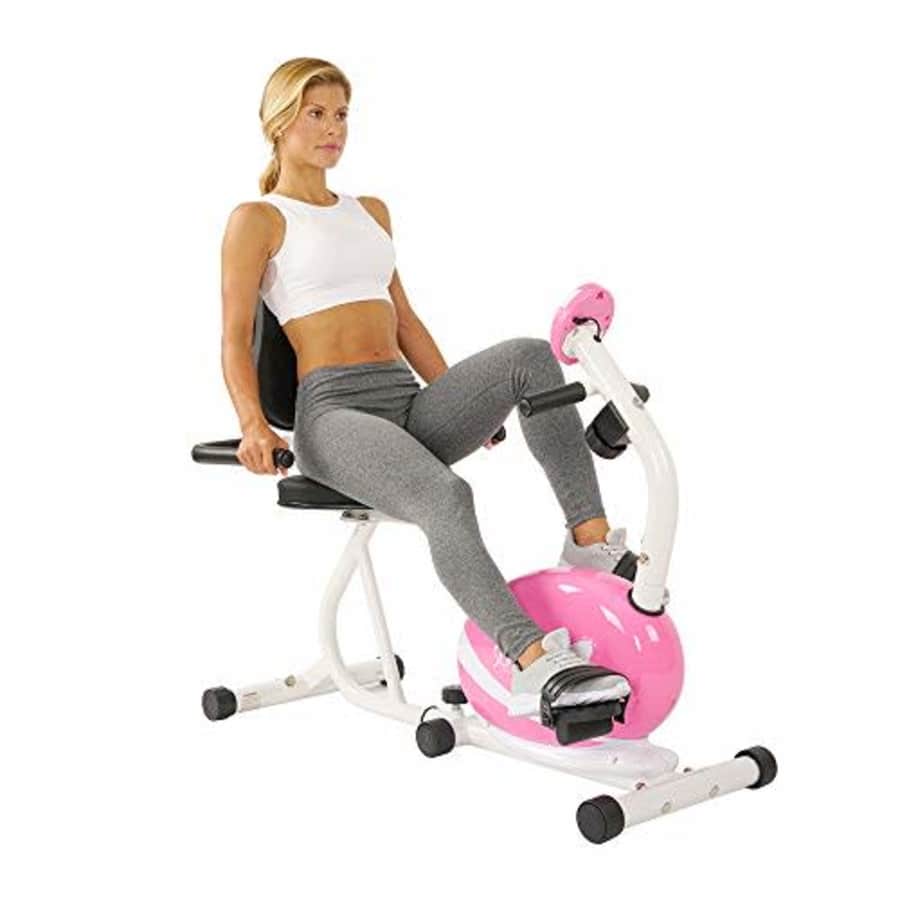 Sunny Health & Fitness Magnetic Recumbent Bike Exercise Bike, 220lb Capacity, Monitor, Pulse Rate for $220