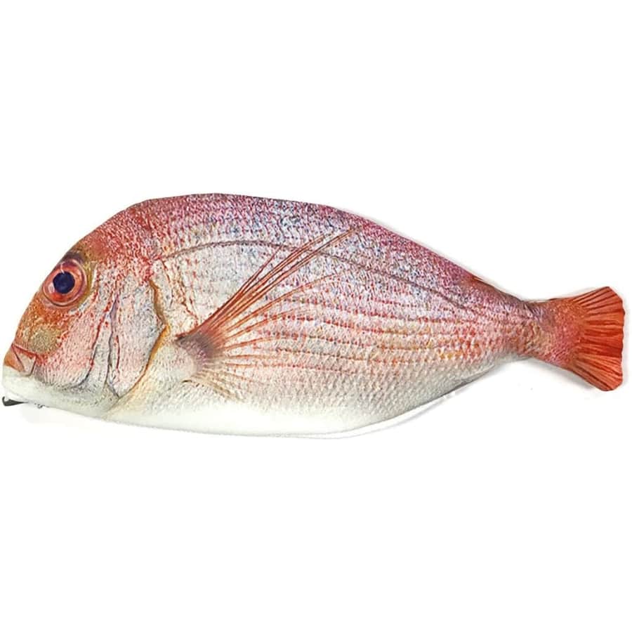 Wrapables Novelty Fish-Style Pencil Case for $10