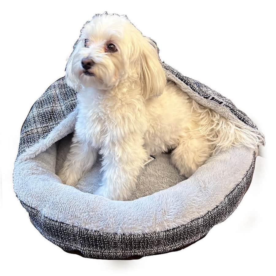 Woof 24" Pet Bed with Cover for $16 Woof 24" Pet Bed with Cover for $16