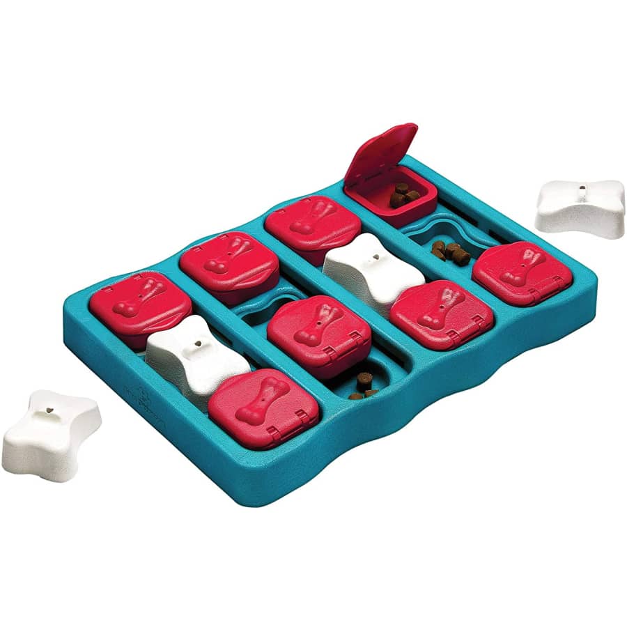 Outward Hound Nina Ottosson Interactive Dog Puzzle for $8 Outward Hound Nina Ottosson Interactive Dog Puzzle for $8