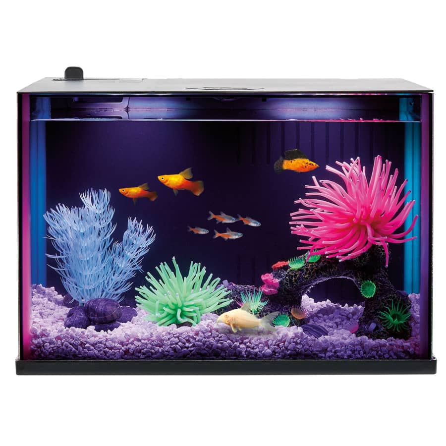 Top Fin Dazzle 3-Gallon Aquarium Starter Kit for $30