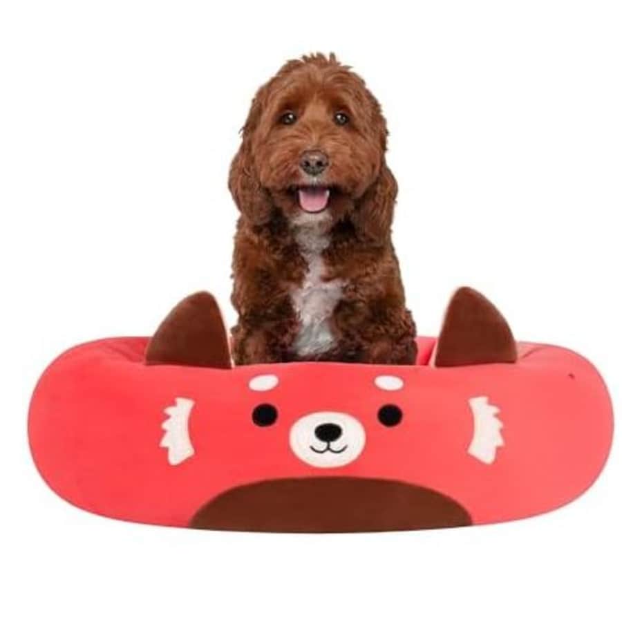 Squishmallows Pet Beds at Woot: Up to 52% off Squishmallows Pet Beds at Woot: Up to 52% off