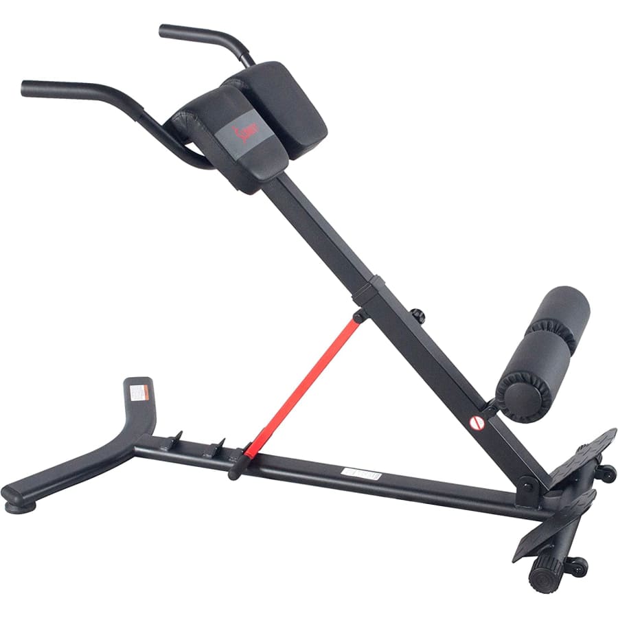 Sunny Health & Fitness Hyperextension Roman Chair with Dip Station for $135