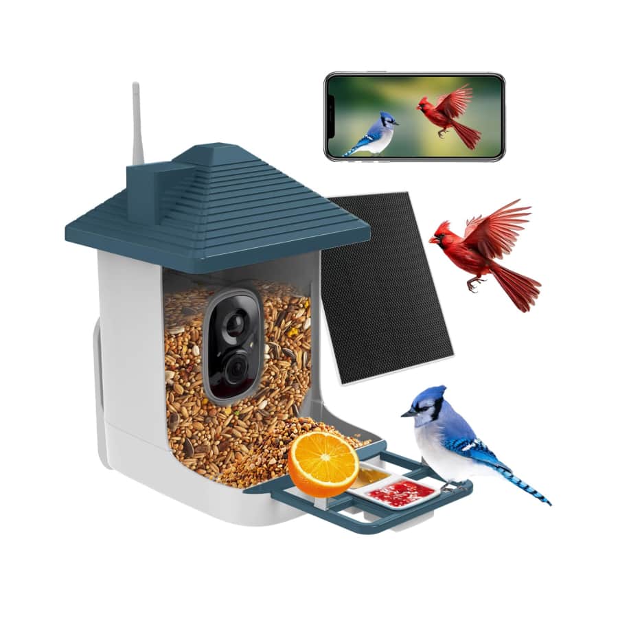 Aprilmin Smart Solar Bird Feeder w/ Camera and AI Recognition for $32