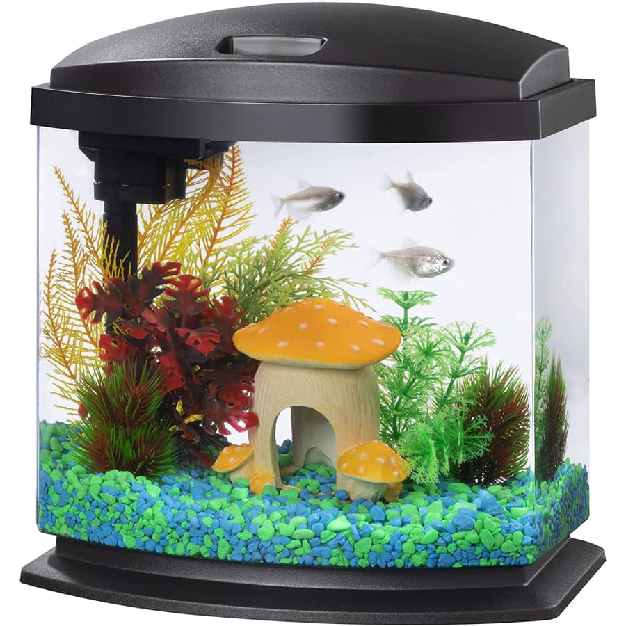 Aqueon 2.5-Gallon LED MiniBow SmartClean Aquarium Kit for $36 Aqueon 2.5-Gallon LED MiniBow SmartClean Aquarium Kit for $36