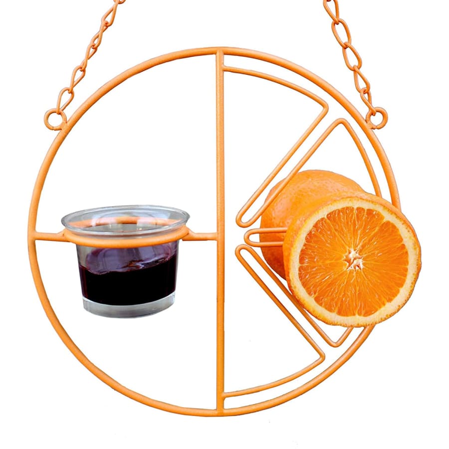 Heath Outdoor Clementine Oriole Feeder for $16