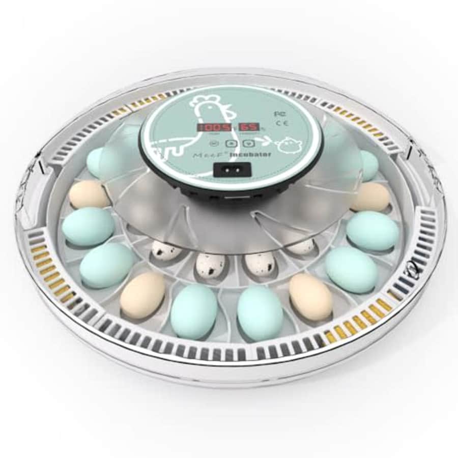30-Egg Incubator for $49