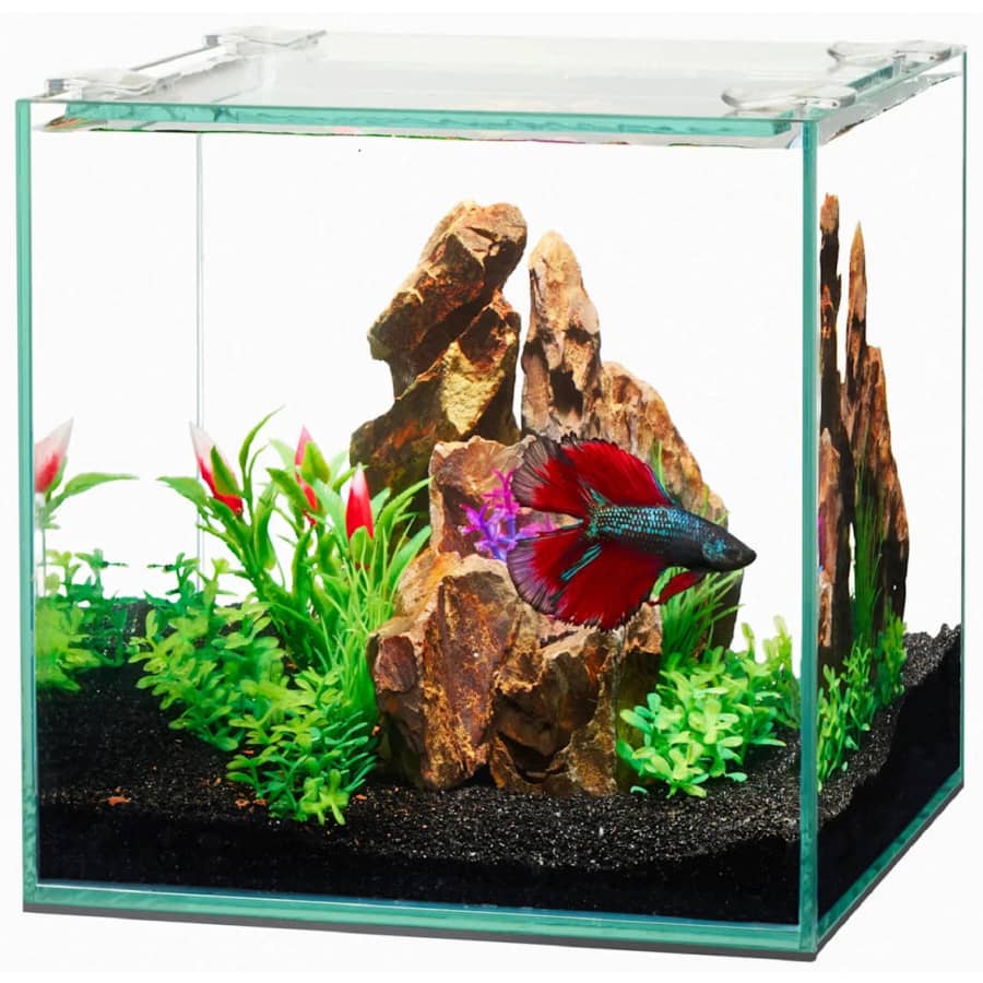 Aqueon 1-Gallon Frameless Cube Aquarium for $13 via pickup