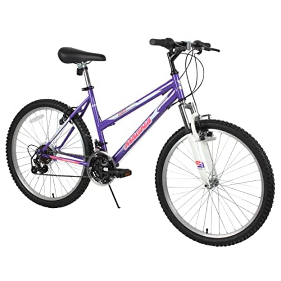 Dynacraft Magna Echo Ridge 24" Bike for $229