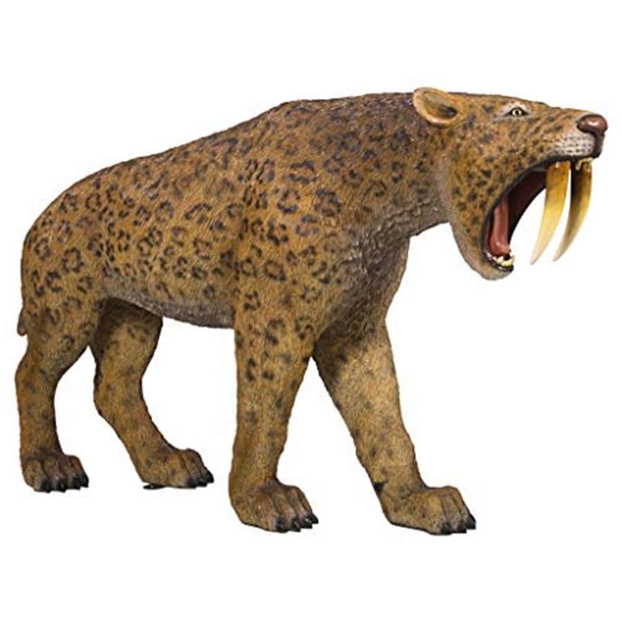 Design Toscano Prehistoric Predator Sabre-Toothed Cat Statue for $1,279 Design Toscano Prehistoric Predator Sabre-Toothed Cat Statue for $1,279