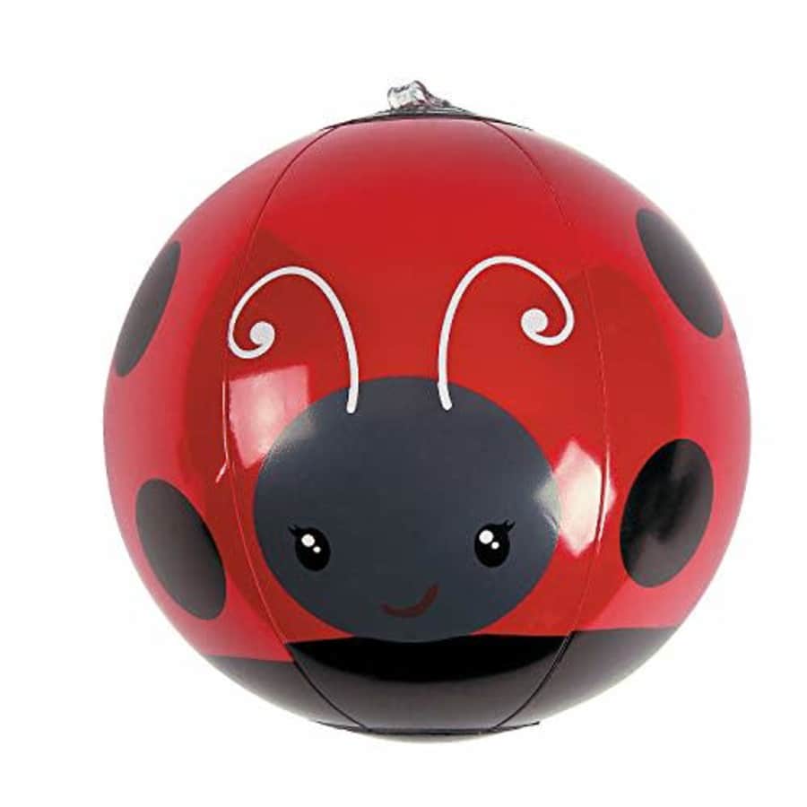 Fun Express Mini Ladybug Beach Balls (Set of 12) Pool and Birthday Party Favors, Giveaways and for $7 Fun Express Mini Ladybug Beach Balls (Set of 12) Pool and Birthday Party Favors, Giveaways and for $7