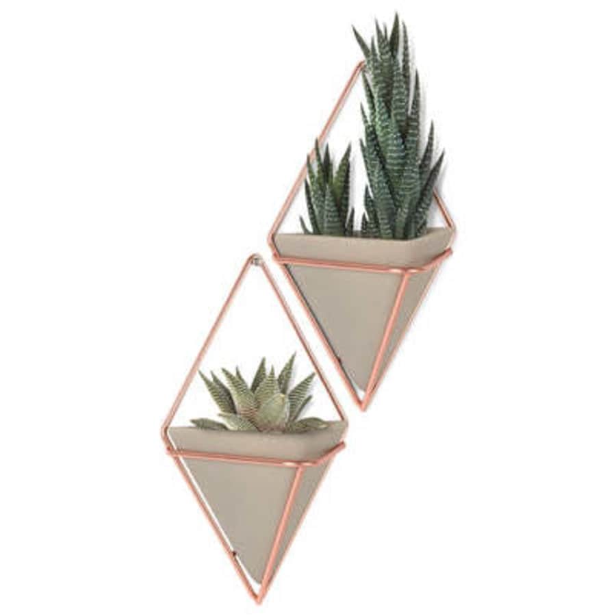 Umbra Trigg Hanging Planter Vase 2-Pack for $13 Umbra Trigg Hanging Planter Vase 2-Pack for $13