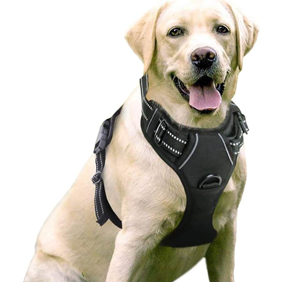 Rabbitgoo Large Dog Harness for $17