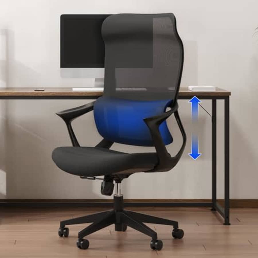 Flexispot Desk Chair for $150