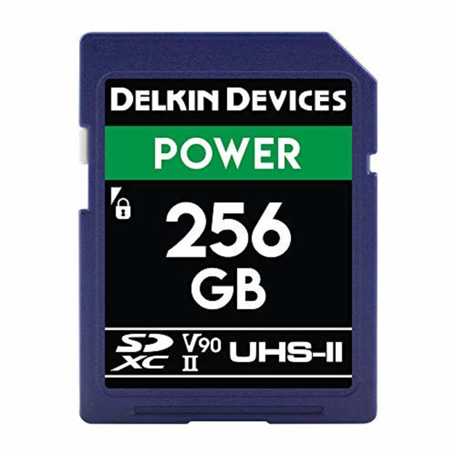 Delkin Devices 256GB Power SDXC UHS-II (V90) Memory Card (DDSDG2000256) for $300