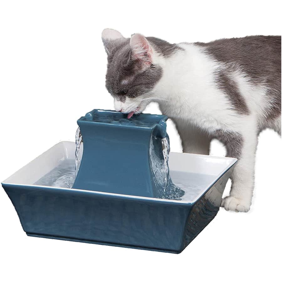 PetSafe Drinkwell Pagoda Cat and Dog Drinking Fountain for $90