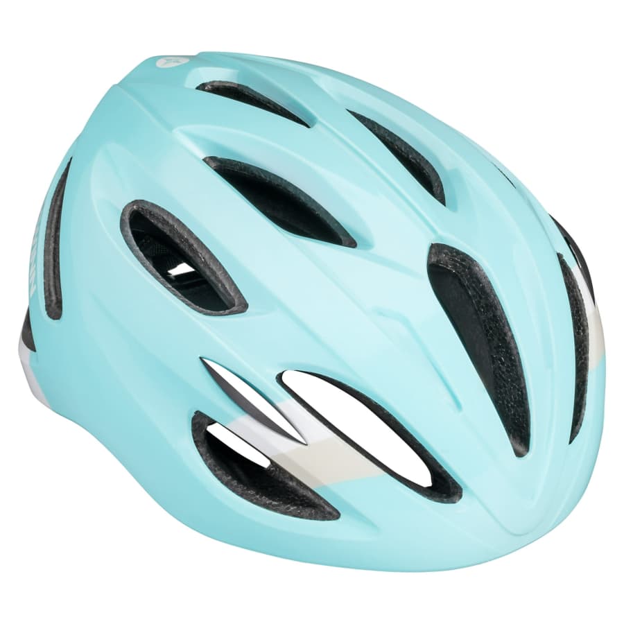 Schwinn Adults' Regent Bicycle Helmet for $10