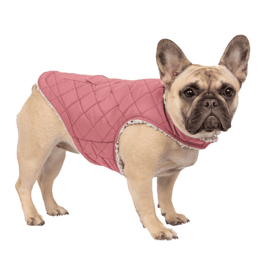 Free Country Stratus Lite Reversible Dog Jacket for $13 Free Country Stratus Lite Reversible Dog Jacket for $13