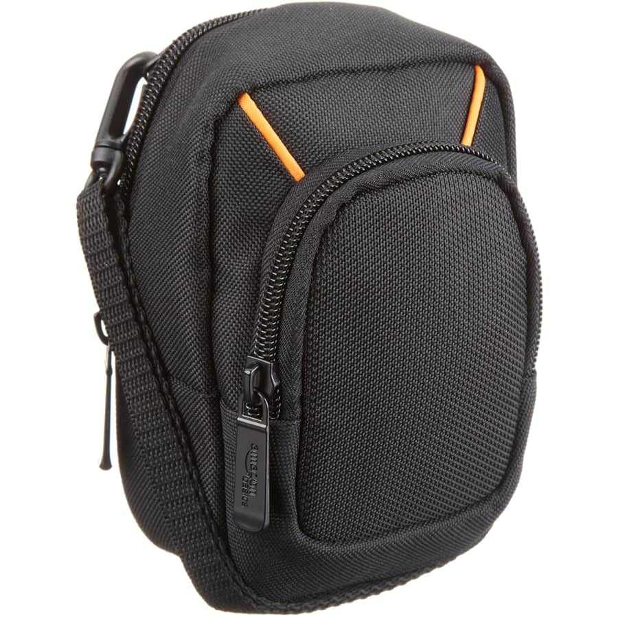 AmazonBasics Large Camera Case for $12