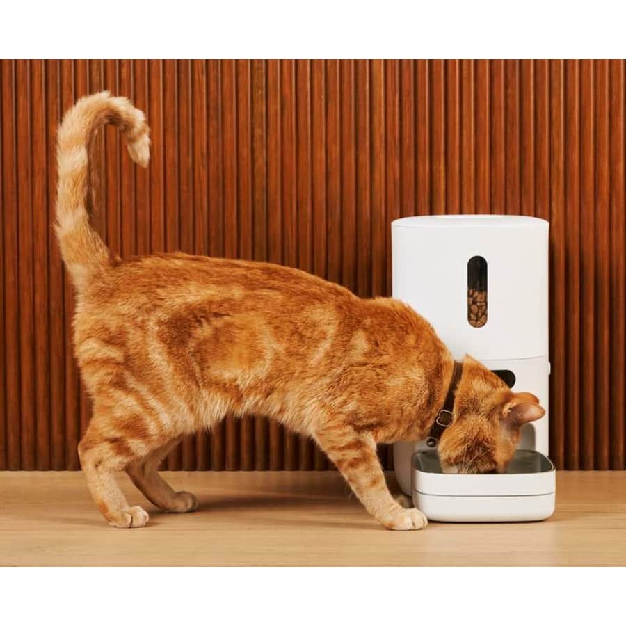 Pawsync Coupon: 20% off your order Pawsync Coupon: 20% off your order