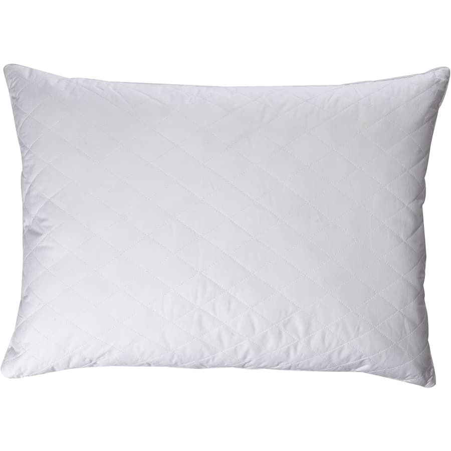 Blue Ridge White Goose Feather and Down Jumbo Gusset Pillow 2-Pack for $30