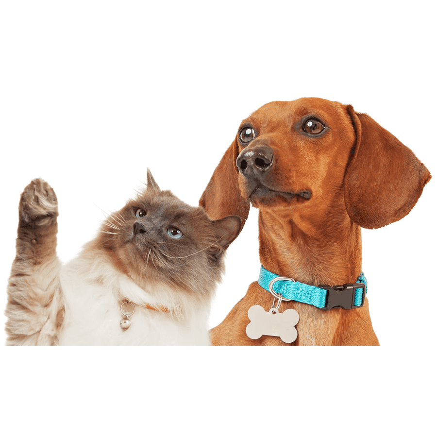 Petco Clearance Deals: Up to 70% off + $10 credit w/ $30 spend