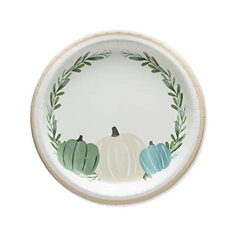 American Greetings 6442682 Thanksgiving Party Supplies, Thanksgiving Medley Paper Dinner Plates for $10