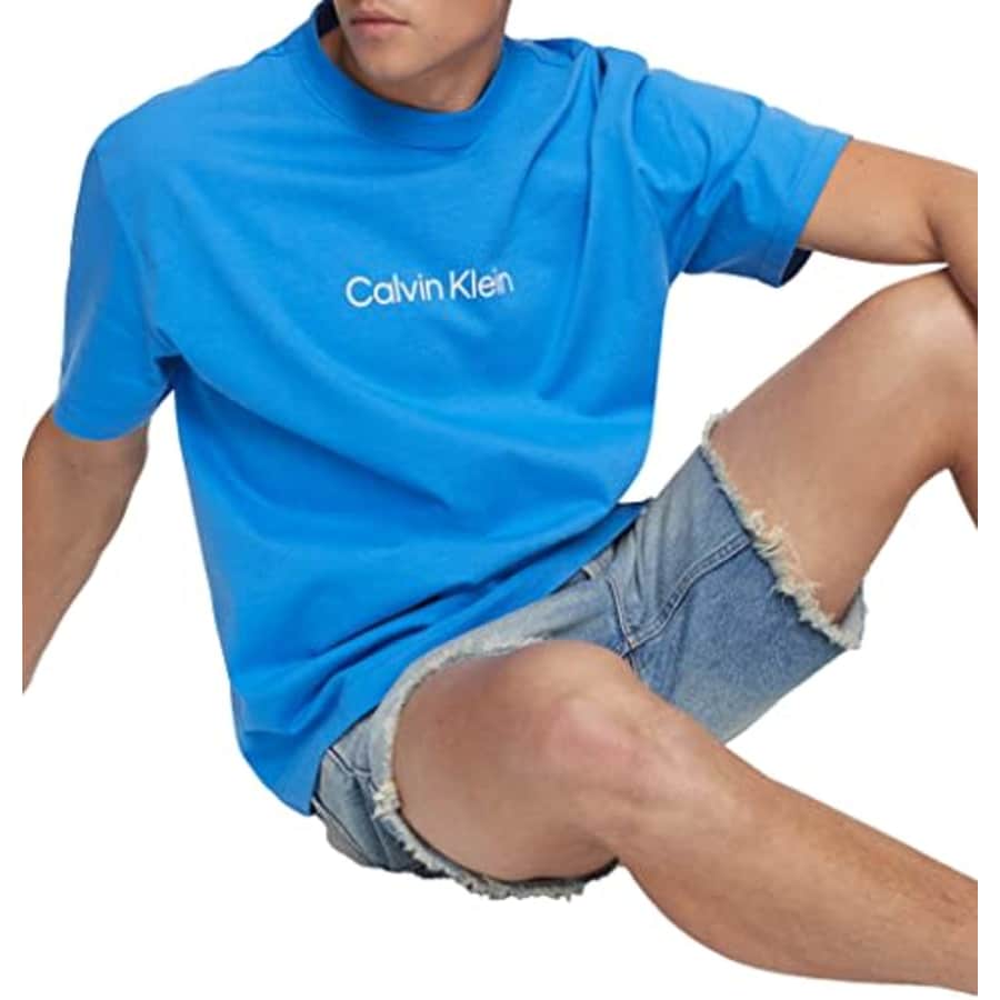 Calvin Klein Men's Relaxed Fit CK Logo Crewneck T-Shirt, Palace Blue, Large for $48