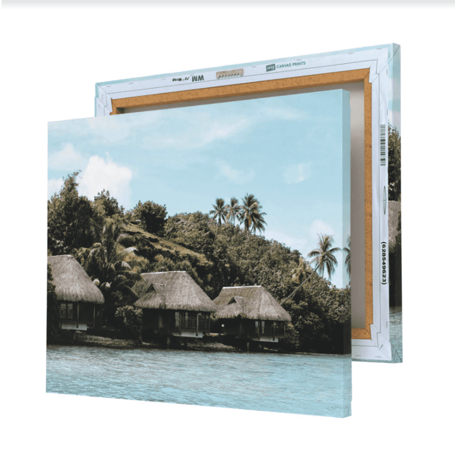 16" x 20" Canvas Print for $17