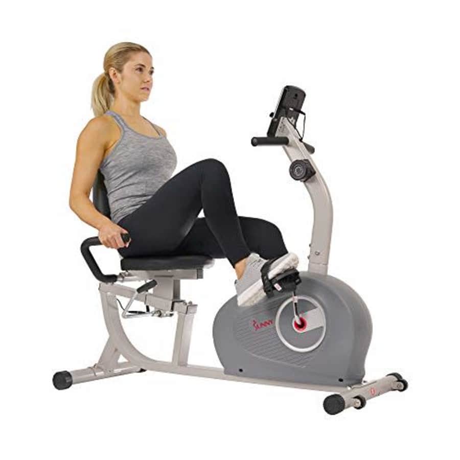 Sunny Health & Fitness Magnetic Recumbent Exercise Bike - SF-RB4905 for $234