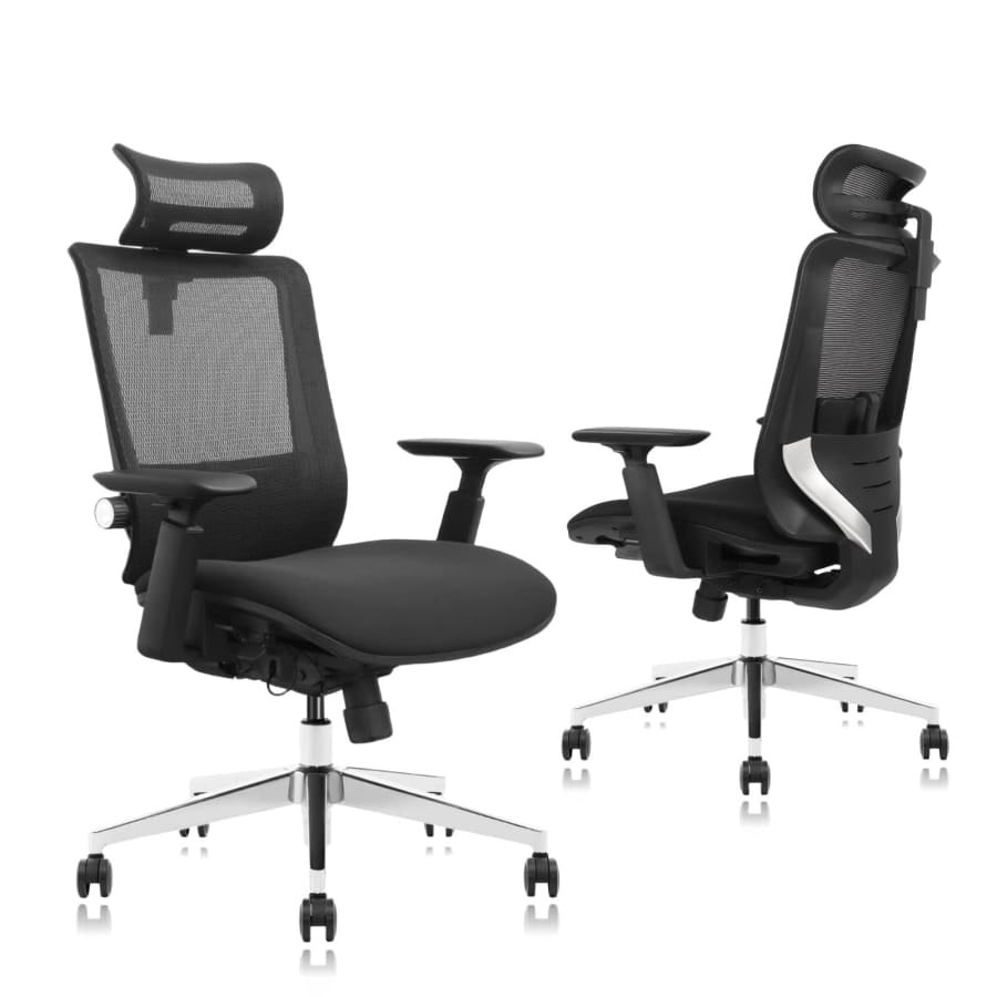 Urboro & Domo SM6 Ergonomic Office Chair for $100